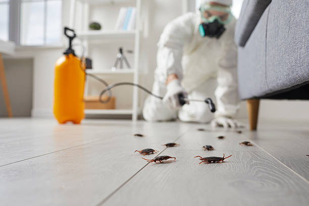 Commercial Kitchen Cockroach Control in Waterford